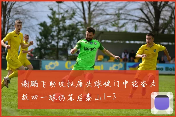 谢鹏飞助攻拉唐头球破门申花奋力扳回一球仍落后泰山1-3